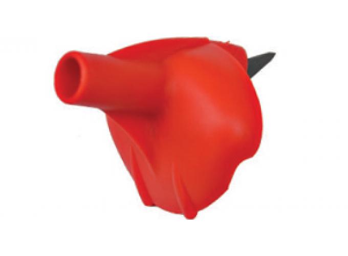 3p300ORf_1.jpg
